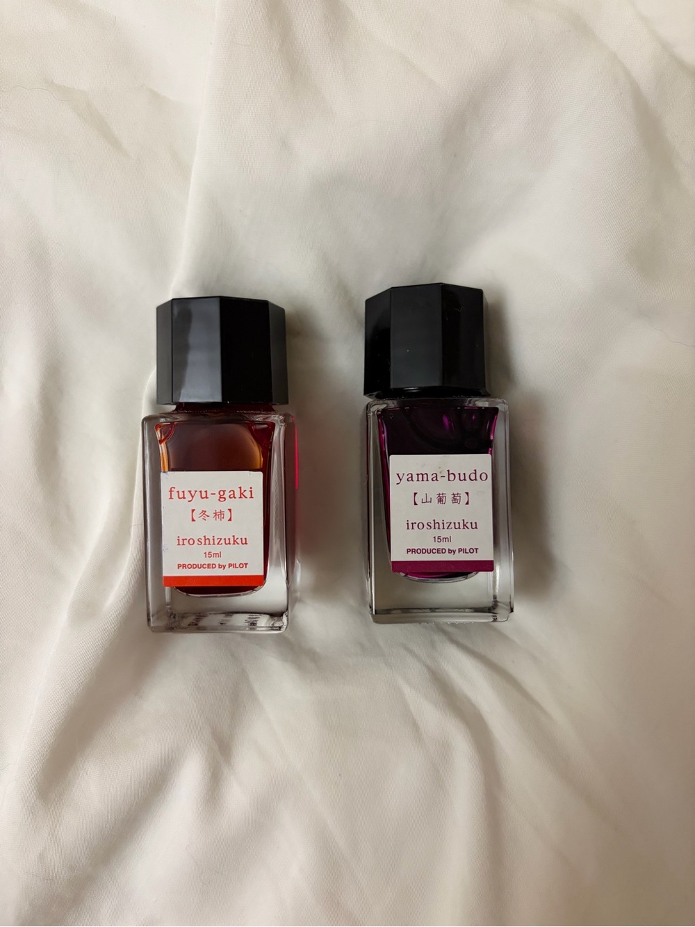 Pilot Iroshizuku Fountain Pen Ink Duo - Fuyu-gaki & Yama-budo